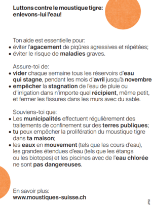 moustiques