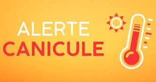 Alerte canicule