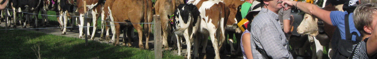 Cortège de la désalpe du Boéchet