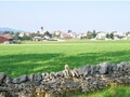 Dépôt public Plan d'aménagement local (PAL)